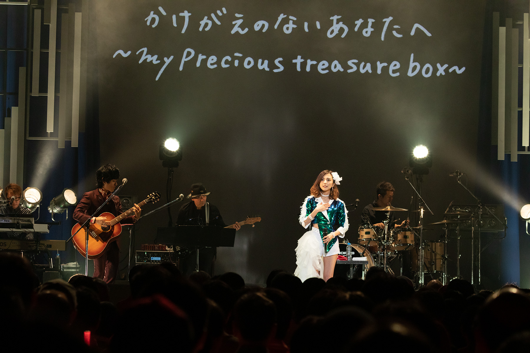 Erina Mano 10th Anniversary Live